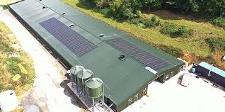 Farm Poultry Solar AC